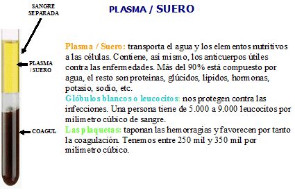 Análisis de sangre Análisis de sangre