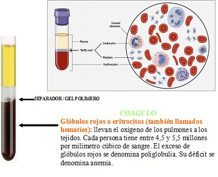 Análisis de sangre Análisis de sangre